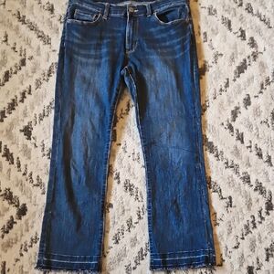 Banana Republic Cropped Dark Blue Jeans